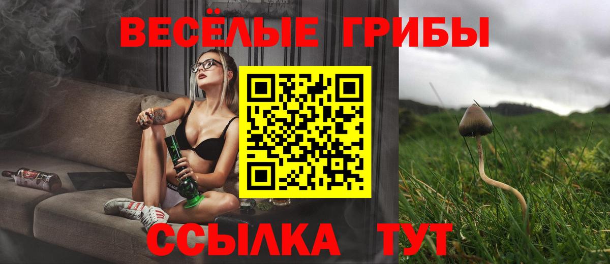Галлюциногенные грибы GOLDEN TEACHER  Псилоцибиновые грибы ЛСД  Вход с VPN  Кыштым 