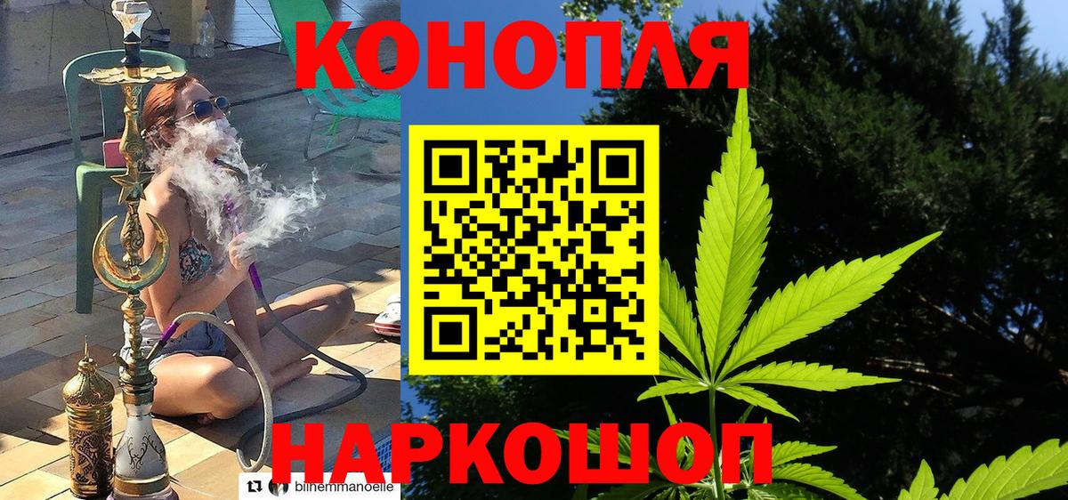 Шишки марихуана тримм  Марихуана план  МАРИХУАНА OG Kush  Кыштым  Канабис ГИДРОПОН  Вход с VPN 